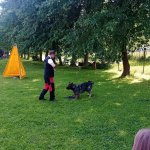 phoca_thumb_m_agility 34 Fotogalerie